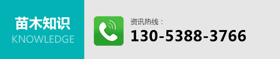 苗木知识