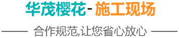 泰安市华贸樱花苗木专业合作社-施工现场