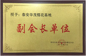 泰安华茂樱花基地-副会长单位