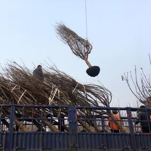 装车现场