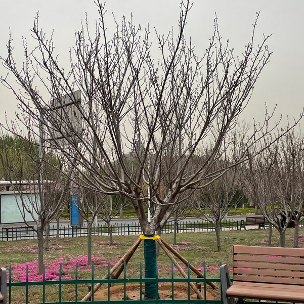 微信图片_20250109145140.jpg