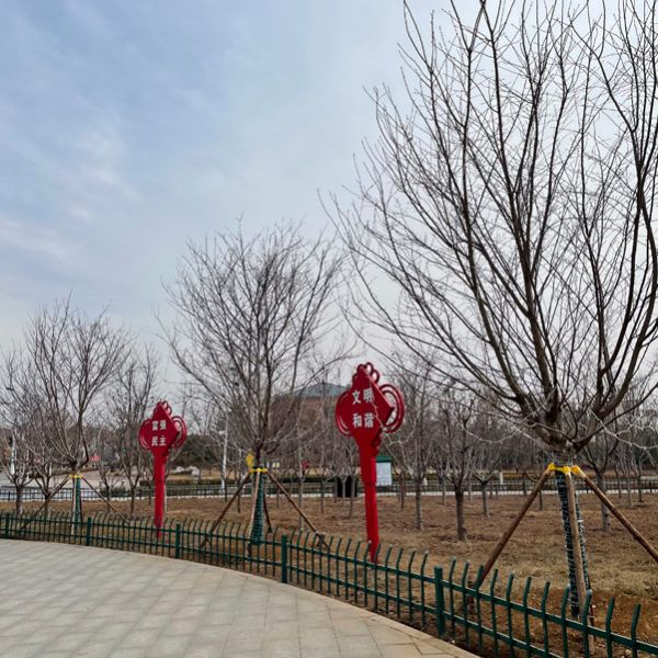 图片展示